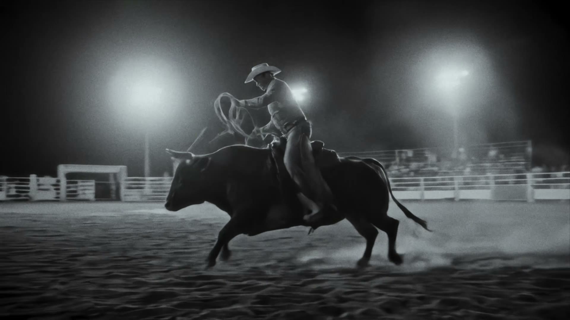 The night rodeo